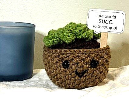 Emotional Support Succulent